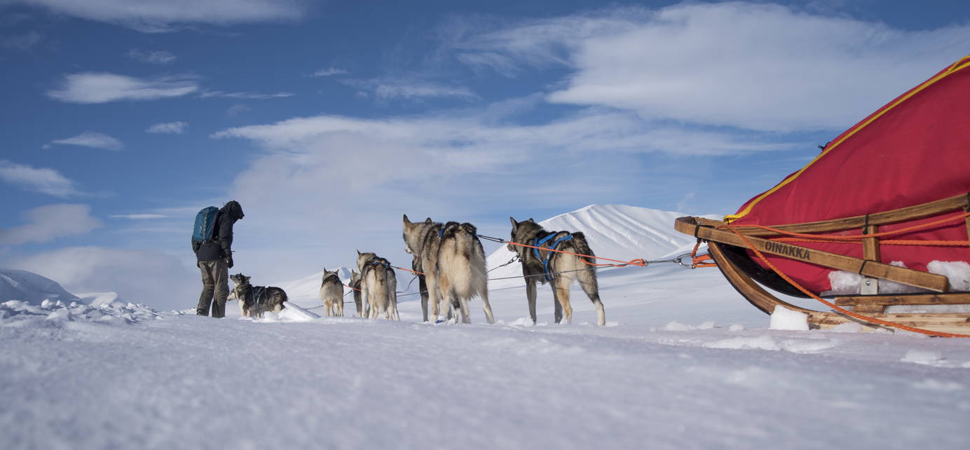 Suchen Sie für Ihr Team oder ein Führungstraining eine besondere Herausforderung jenseits des Gewöhnlichen? Lassen Sie sich im doppelten Sinn aus der Komfortzone holen. Als Team und unterwegs mit Ihrem Schlittenhundegespann.